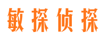 攸县敏探私家侦探公司